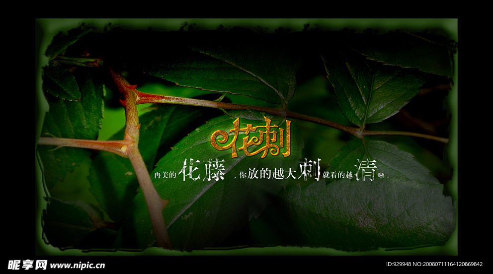 花刺（非主流）