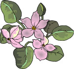 矢量花草