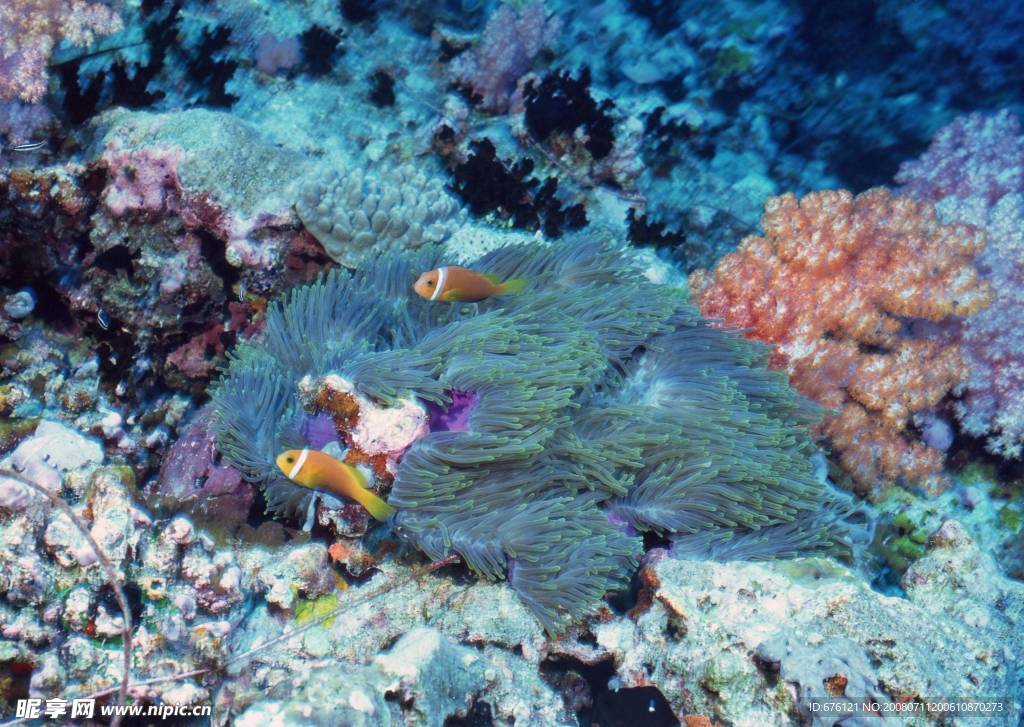 海底世界