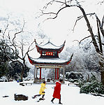 雪景