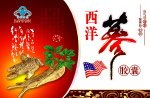 西洋参胶囊