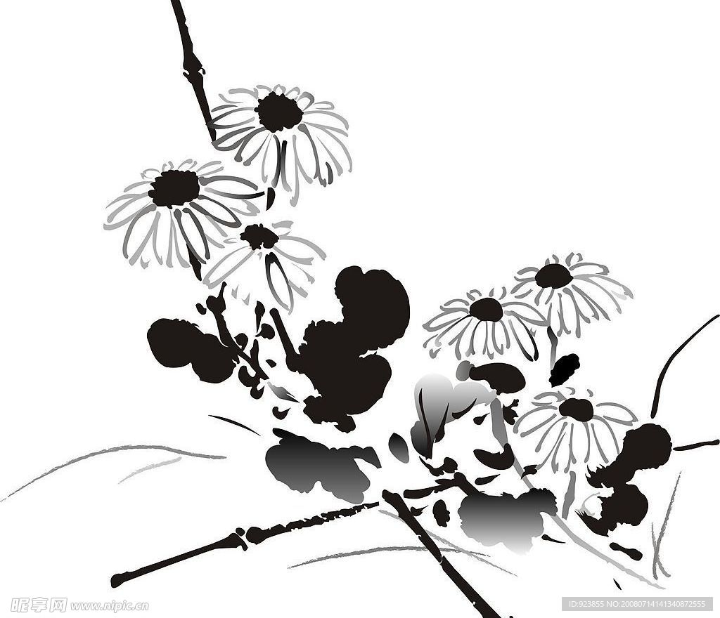 菊花