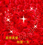 玫瑰传情