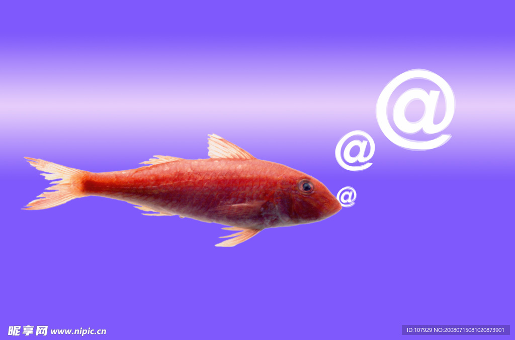口中吐符号的红鱼
