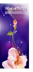 潮流花纹
