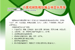医院制度版面模板