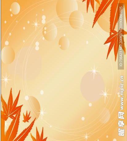 枫之恋