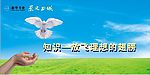知识—放飞理想的翅膀