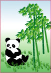 能猫 竹子