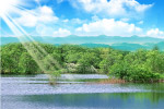 山水