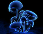 晶体蘑菇