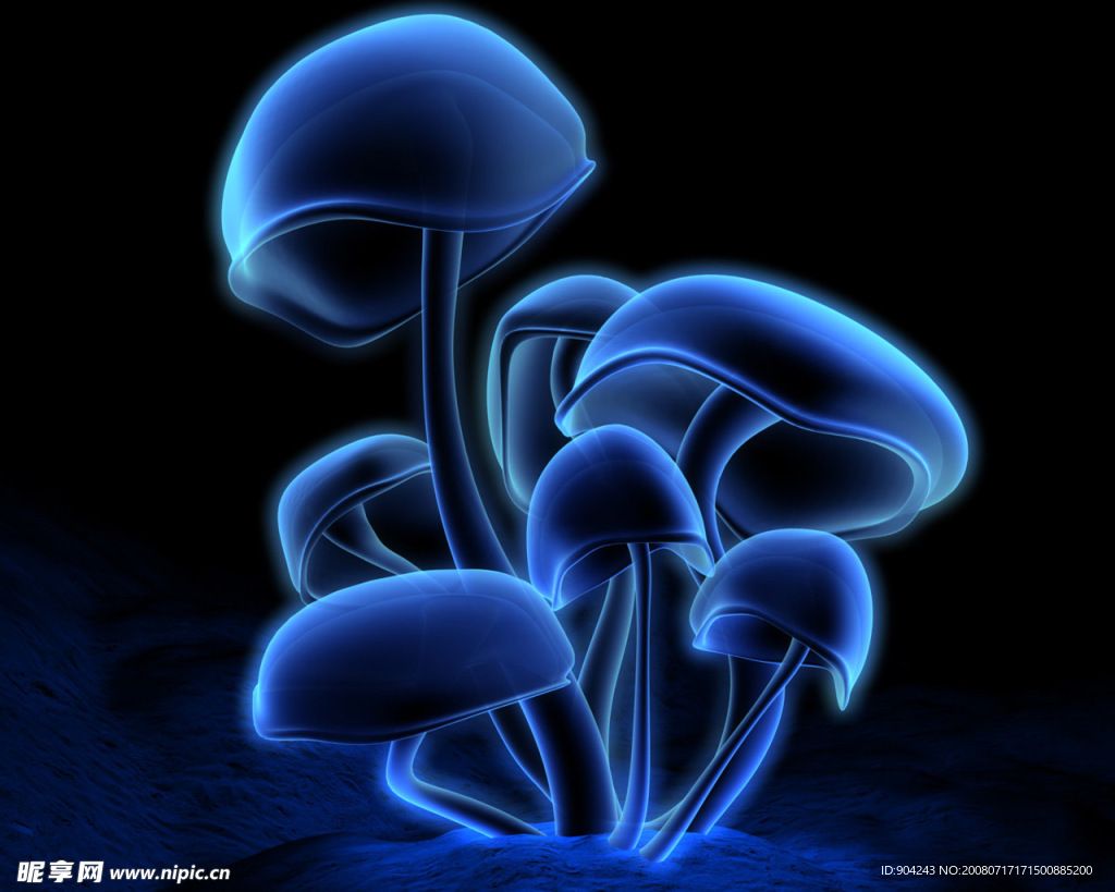 晶体蘑菇