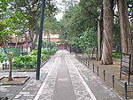 花园小路