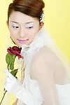 唯美主题婚纱数码原图