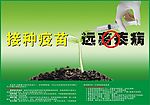 远离疾病   公益广告