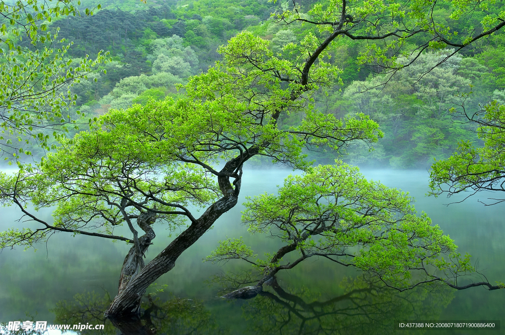 美丽山谷