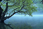美丽山谷