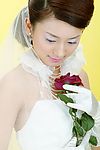 唯美主题婚纱数码原图
