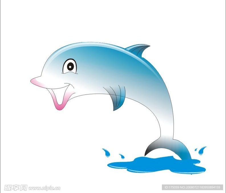 海豚