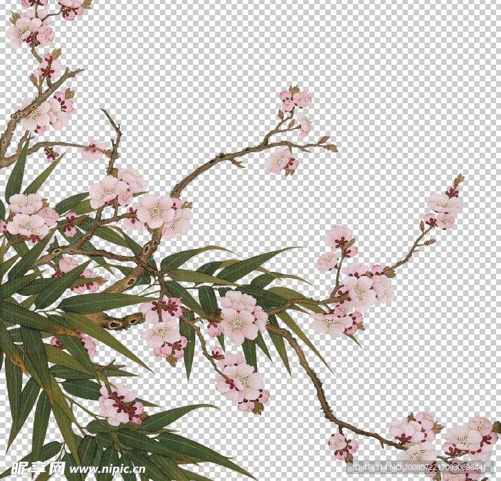 桃花抠图