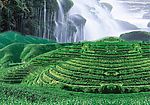 山水风景