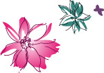 韩国花纹－1
