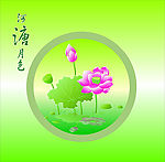 荷花