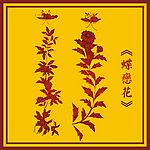 中国古典蝶恋花图