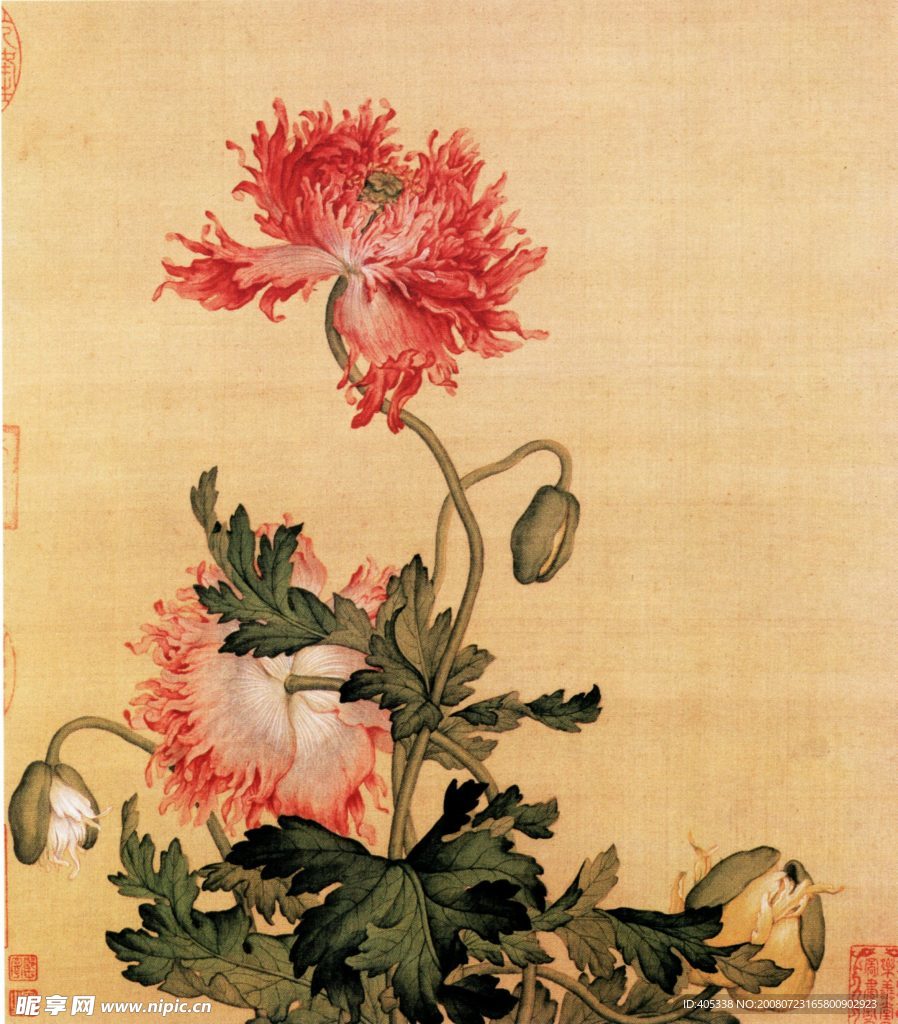 郎世宁花鸟图之—