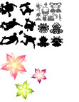 花纹