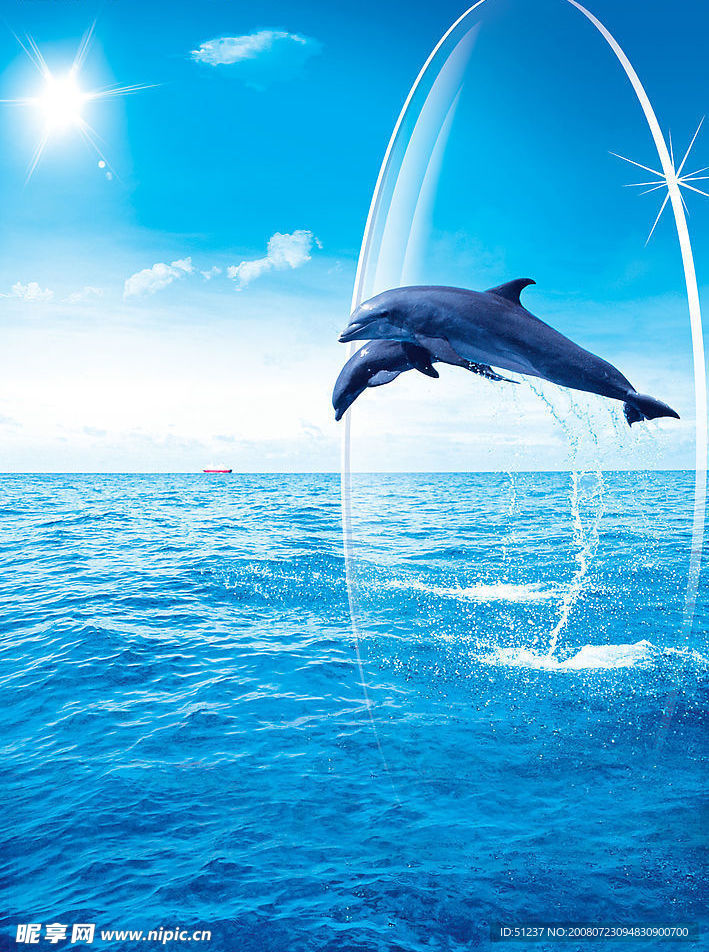 海豚眼镜片