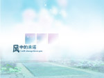 风中的承诺