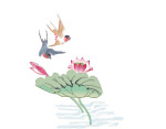 荷花与鸟