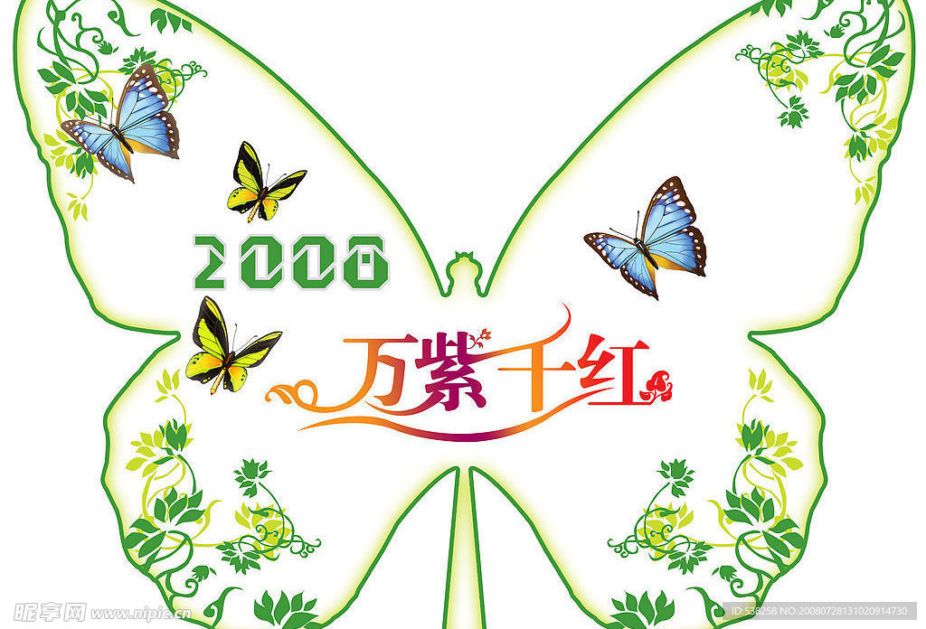 漂亮的万紫千红蝴蝶