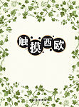 触摸西欧简洁的封面