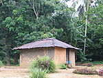 林中小屋