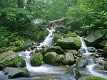 山溪