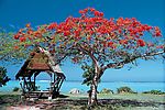 夏威夷关岛
