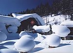雪景