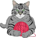 猫 宠物 猫咪