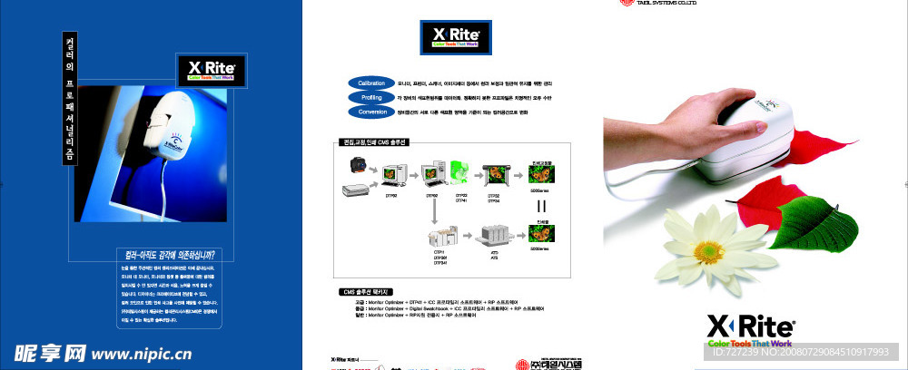 广告折页模版