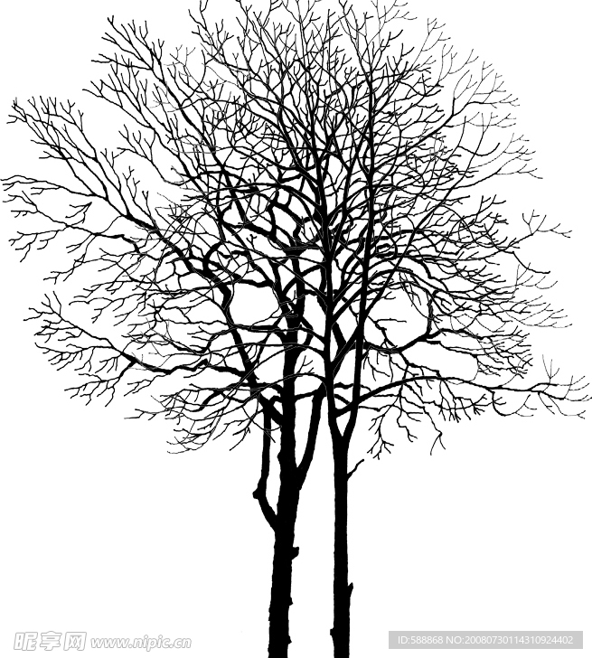 分层枯树