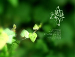 诗意生活06