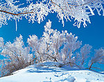雪山