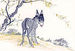 中国国画