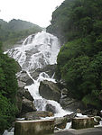 热带雨林 山涧小溪