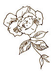 PSD 分层花纹