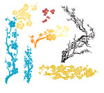 各种杏花图