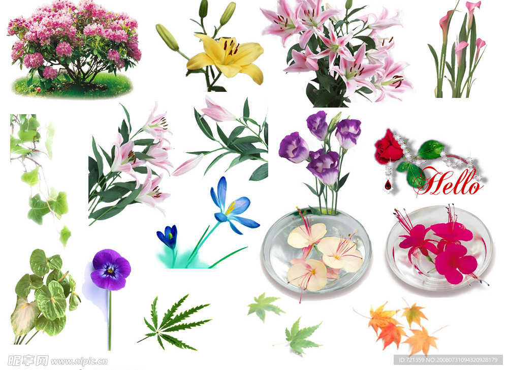 源文件花