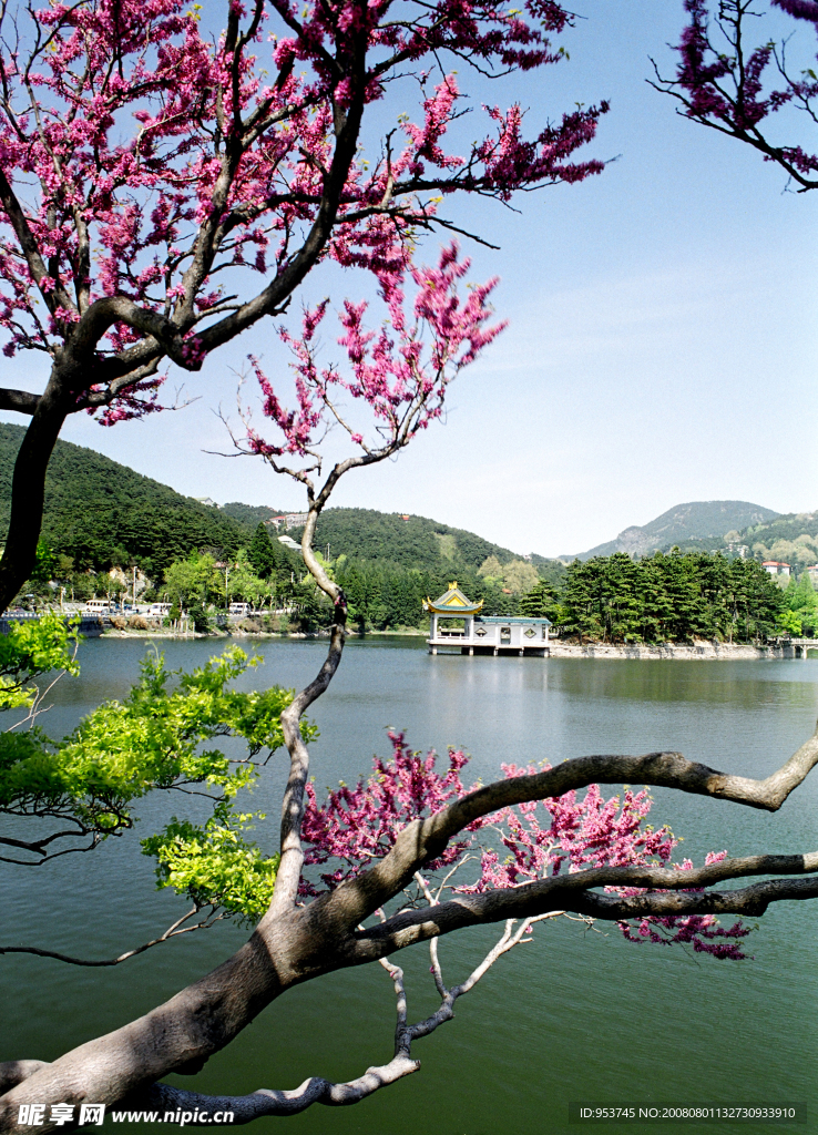 庐山如琴湖风光